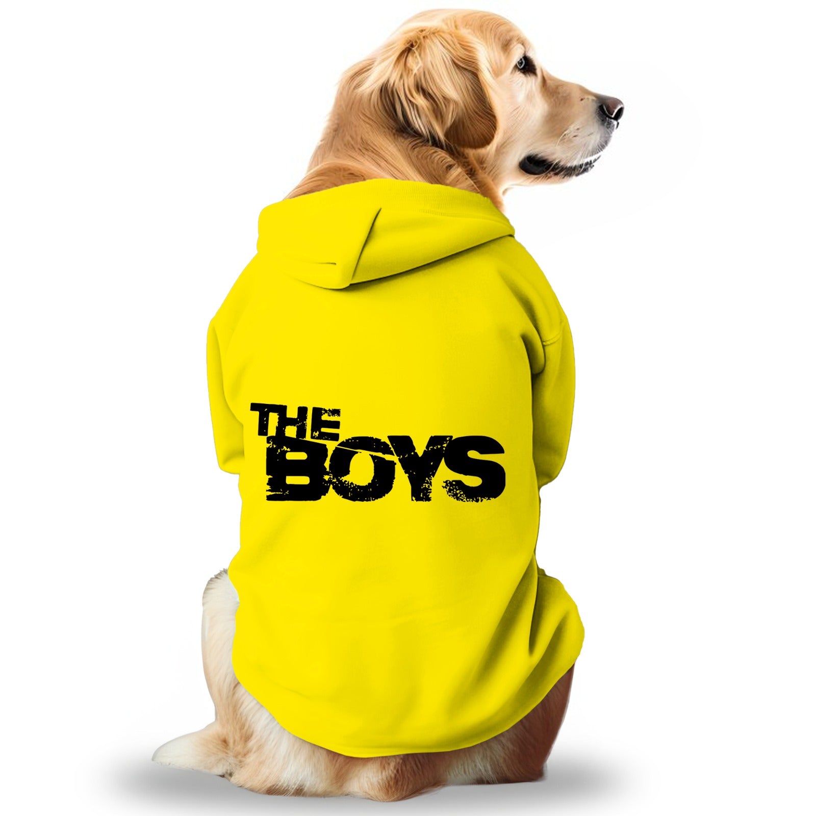 Pawsindia Dog Hoodie - The Boys