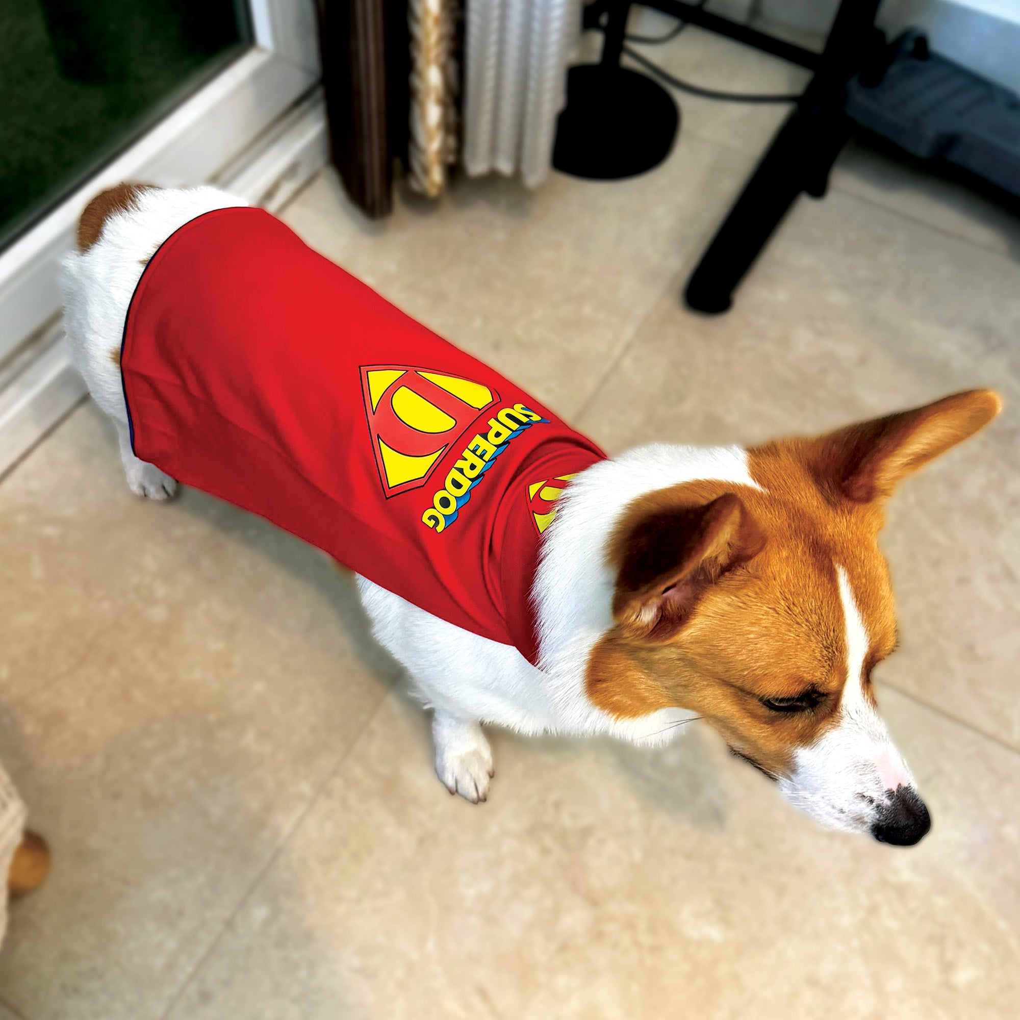 SUPERDOG Dog Cape