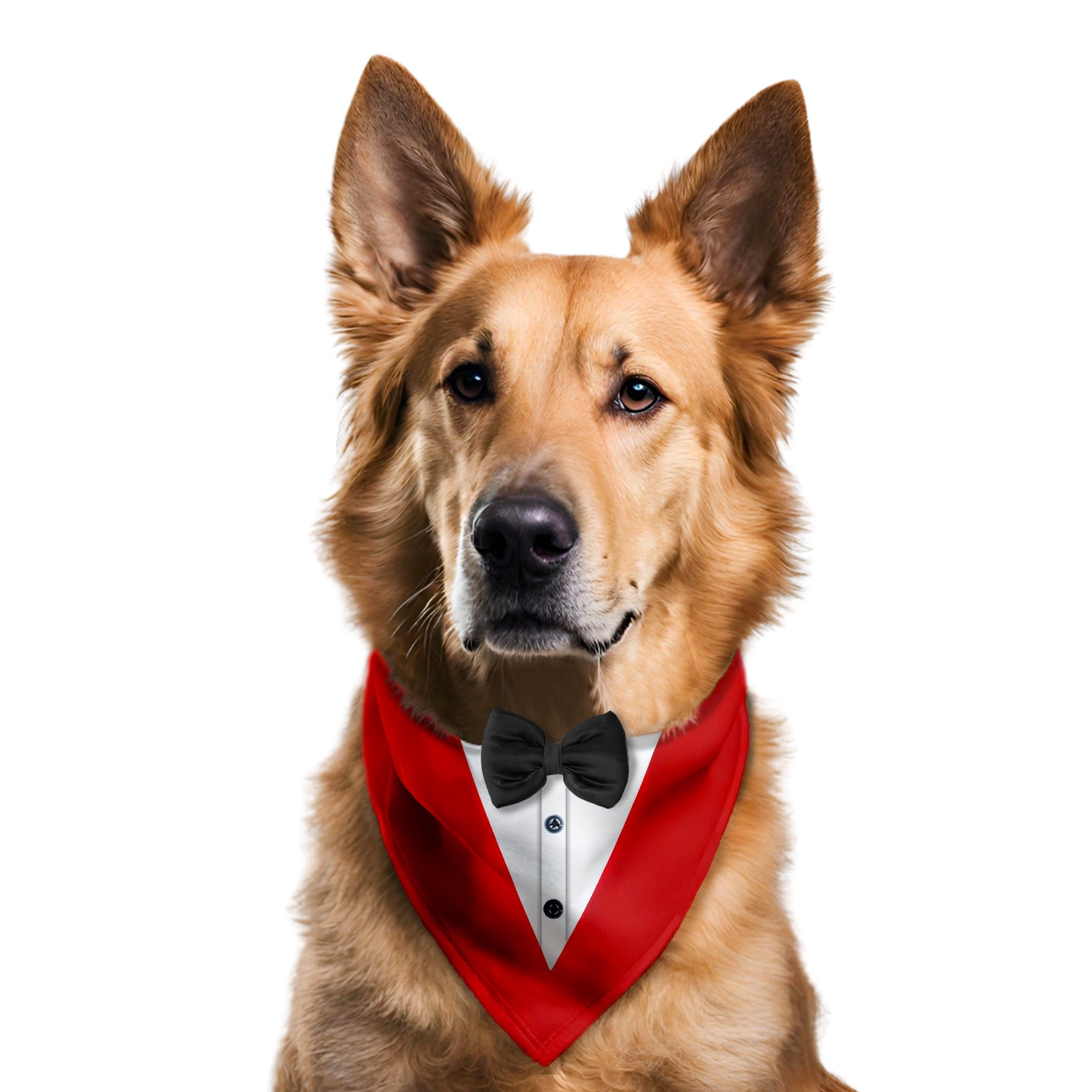 PawsIndia Red & White Tuxedo Bandana With Black Bow For Pets