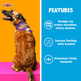 PawsIndia Customized Dog Bandana - Mix Dog Breeds Print