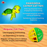 Pawsindia Catnip Aromatherapy Turtle Toy