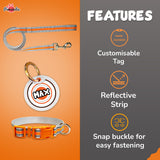 Pawsindia Orange Reflective Collar, Leash and Customized Name Tag Combo
