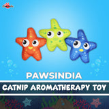 Pawsindia Starfish Cat Nip Toy - Orange