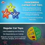 Pawsindia Starfish Cat Nip Toy - Orange