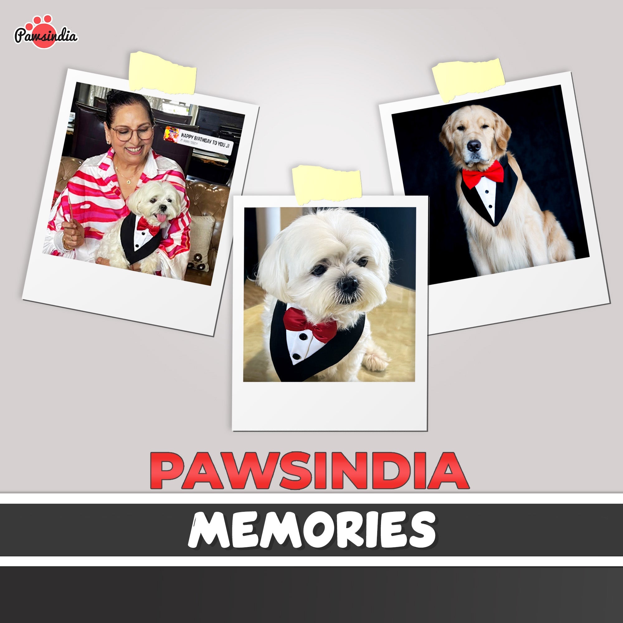 PawsIndia Black & White Tuxedo Bandana With Red Bow For Pets