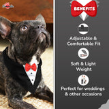 PawsIndia Black & White Tuxedo Bandana With Red Bow For Pets