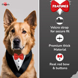 PawsIndia Black & White Tuxedo Bandana With Red Bow For Pets