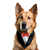 PawsIndia Black & White Tuxedo Bandana With Red Bow For Pets