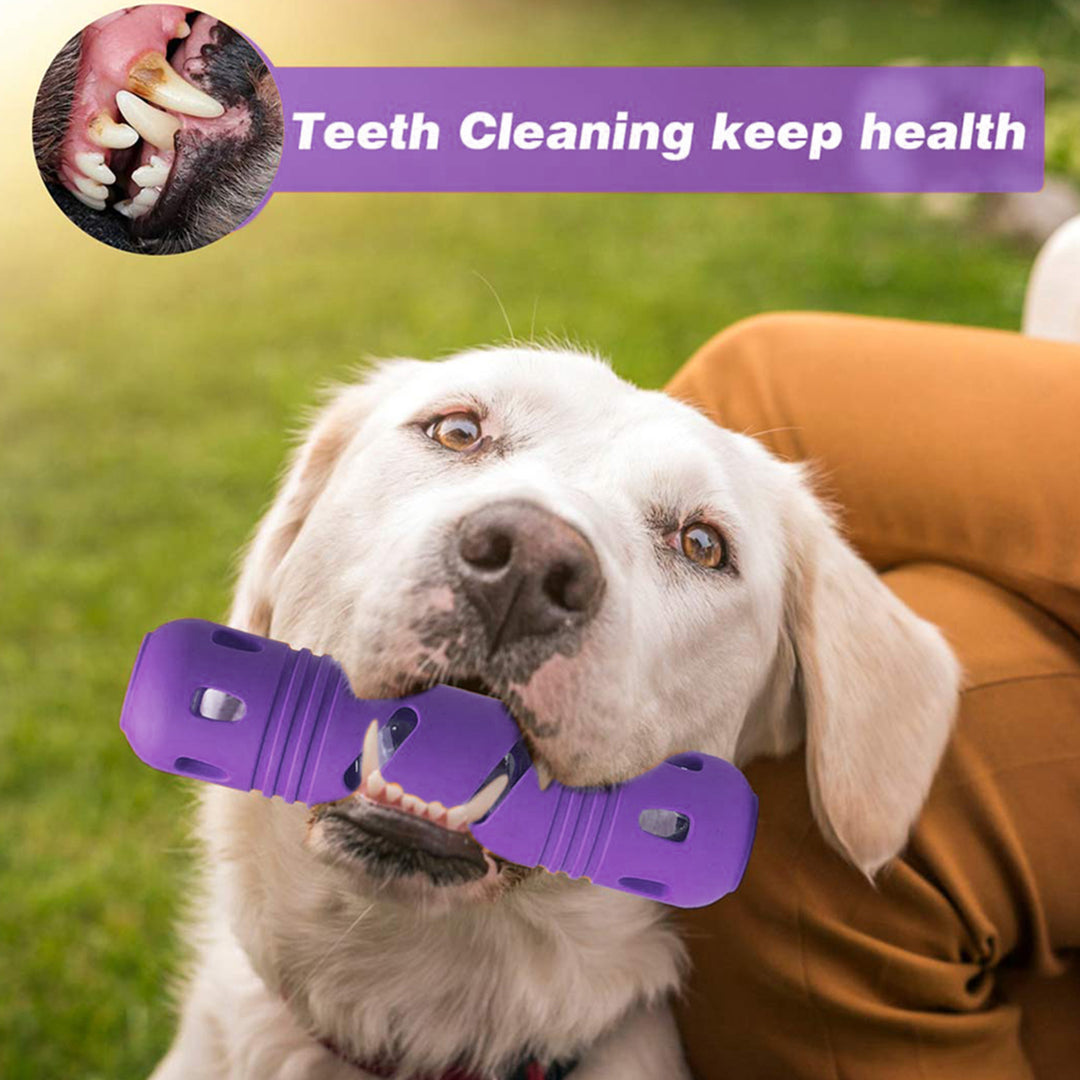 Rubber Bottle Dog Chew Toy