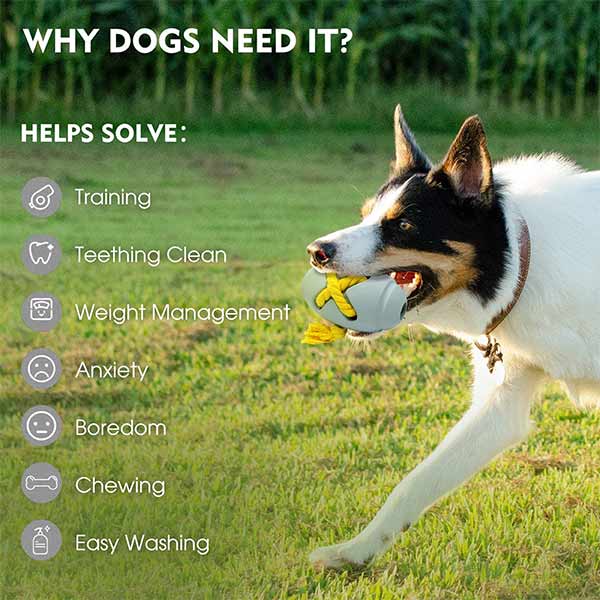 advantages of barrel dog toy