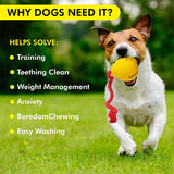 Dog Toy Online