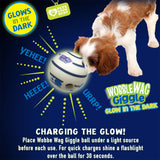 Wobble Wag Giggle ball Interactive Dog Toy - Glow in the Dark