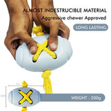 long lasting dog toys