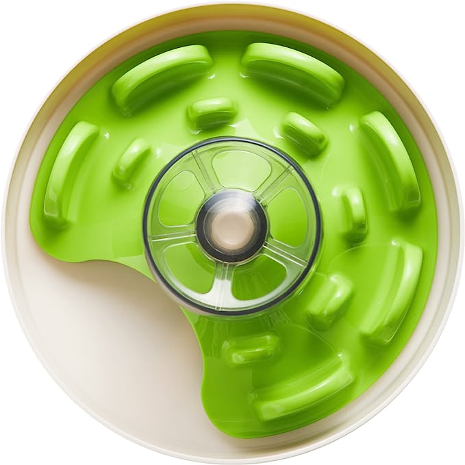 Slow Feeding Bowls