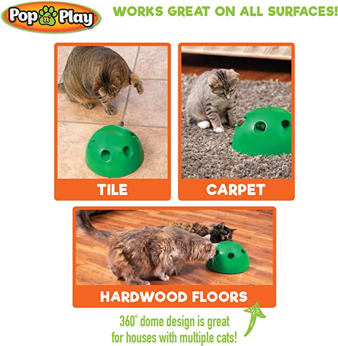 interactiive cat toy