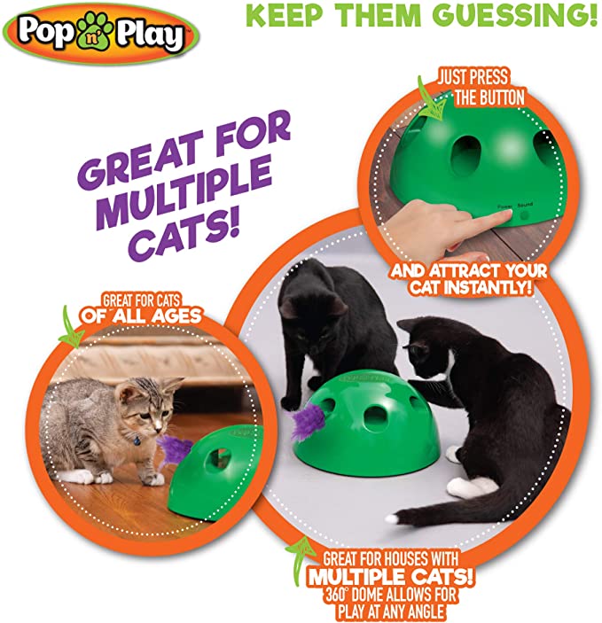 interactiive cat toy