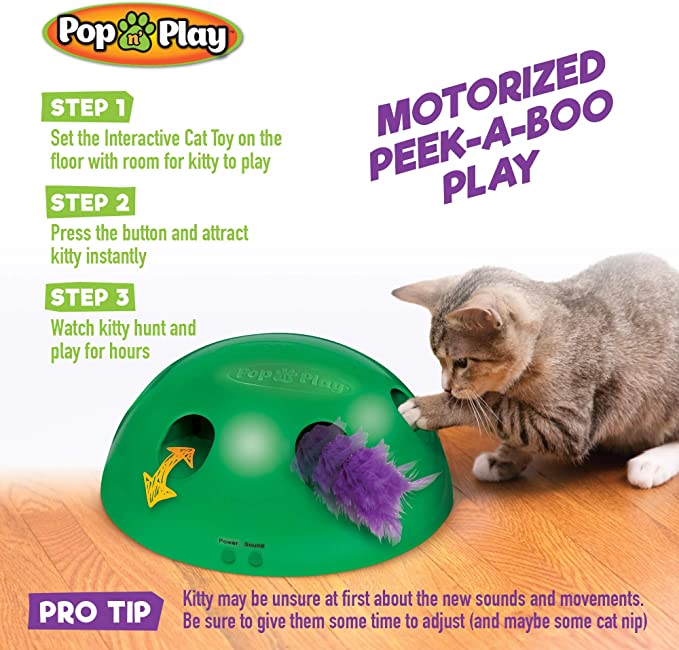 interactiive cat toy