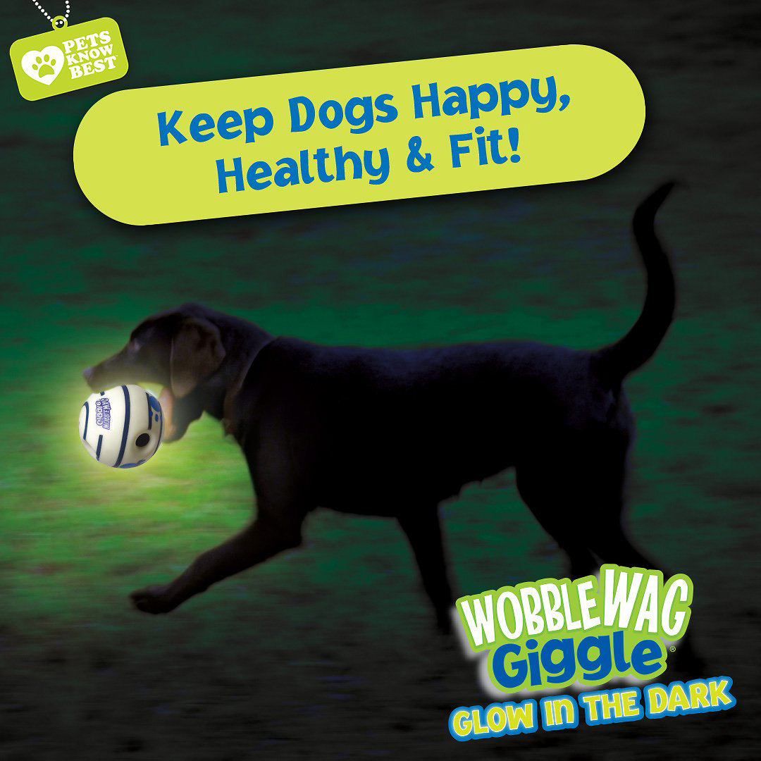 Wobble Wag Giggle ball Interactive Dog Toy - Glow in the Dark