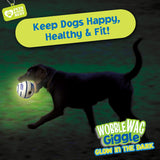 Wobble Wag Giggle ball Interactive Dog Toy - Glow in the Dark