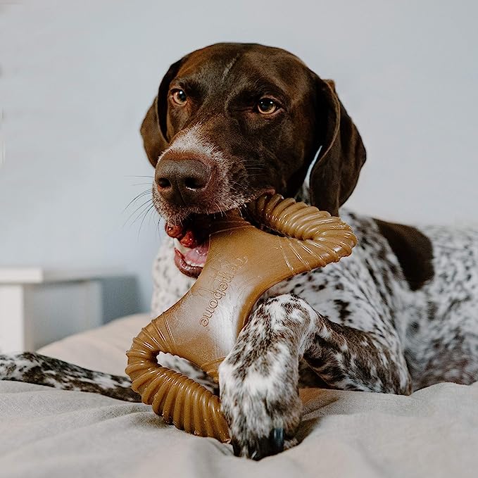 Benebone's Dental Dog Chew (Bacon Flavor)