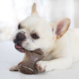 Tiny 2 - Pack Dental Chew/Wishbone Bacon