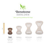 Tiny 2 - Pack Dental Chew/Wishbone Bacon