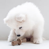 Puppy Pack-Maplestick/Zaggler Bacon