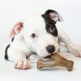 Dog Chew Toy