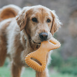 Dog Chew Toy