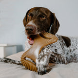Dog Chew Toy