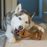 Benebone's Dental Dog Chew (Peanut Butter Flavor)