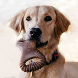 Benebone's Dental Dog Chew (Peanut Butter Flavor)