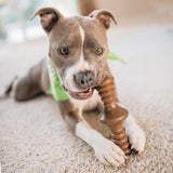 Benebone's Zaggler Rolling Dog Chew ( Peanut Butter Flavor)