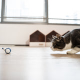 Cheerble Wicked Mouse Interactive Cat Toy - Blue