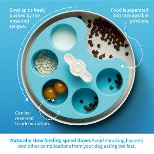 Slow Feeding Dog Bowl