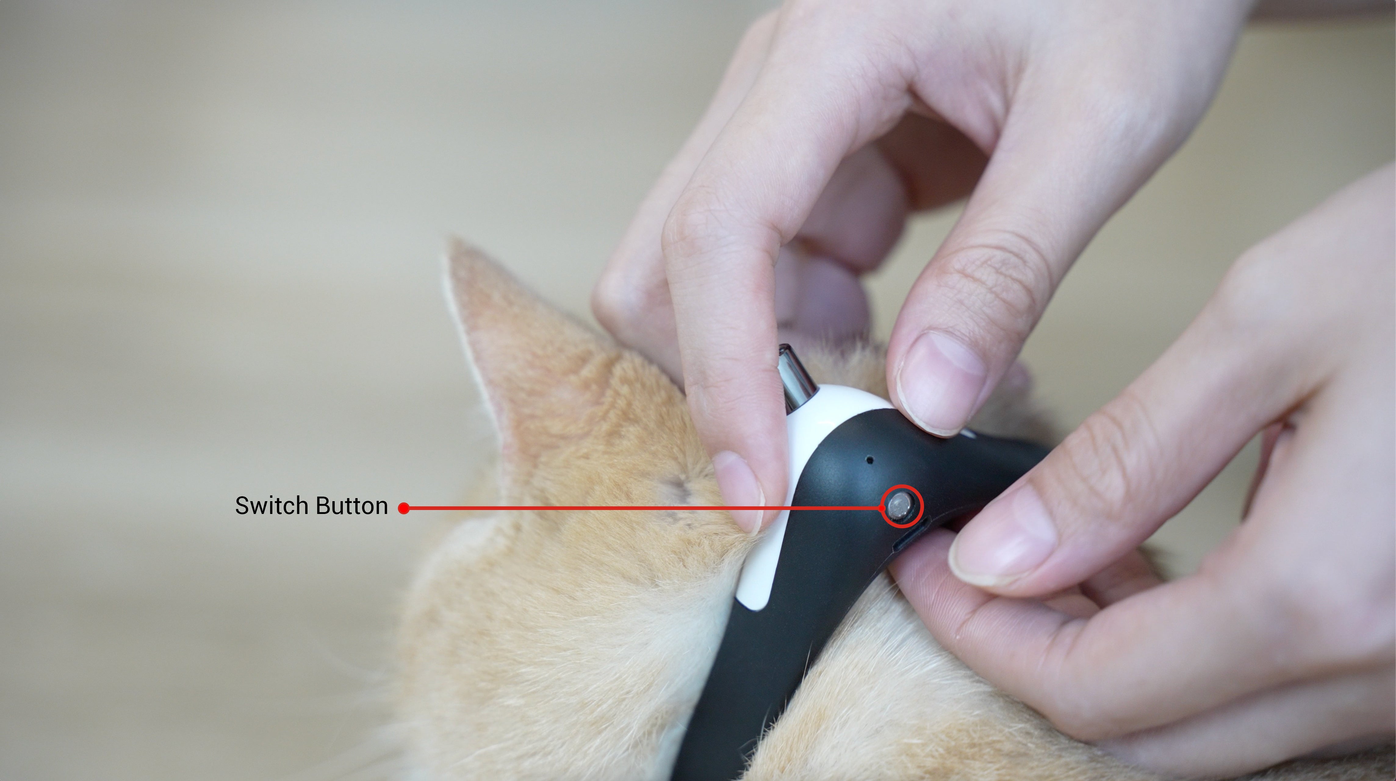 Cheerble Amusing Cat Collar