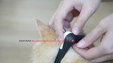 Cheerble Amusing Cat Collar