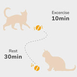 Cheerble Ball for Cats Grey