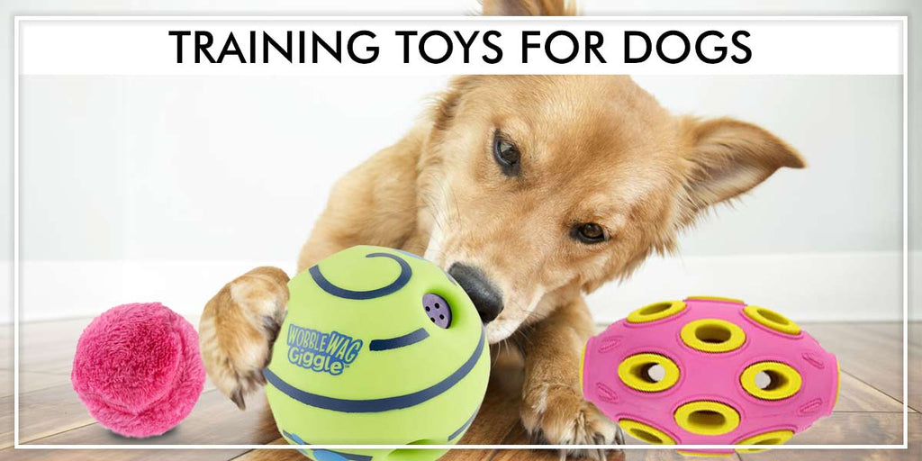 Training toys for dogs