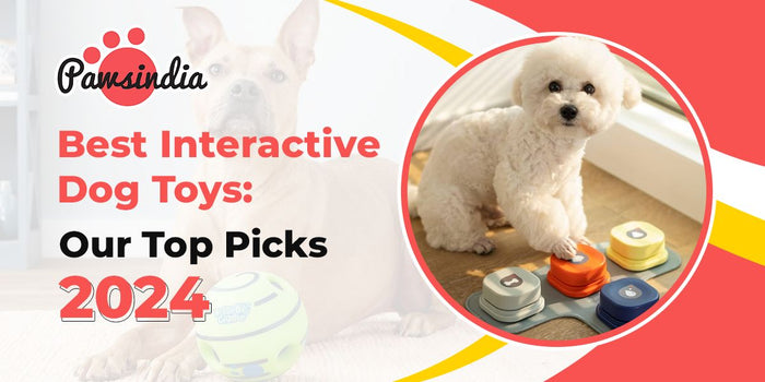 Best interactive dog toys: Our top picks 2024