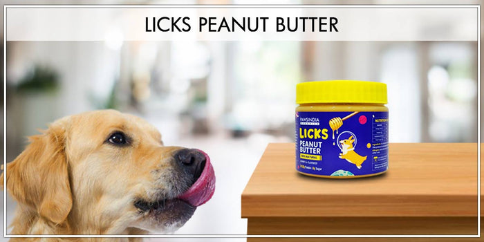 Peanut Butter For Dogs : Is Peanut Butter good for Dogs?