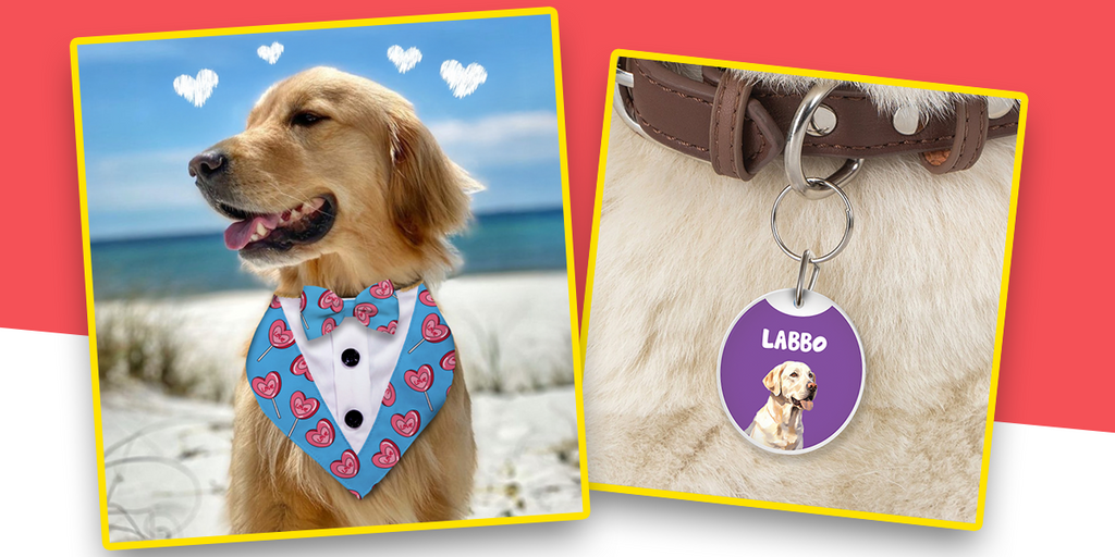 Style Your Pet with  Custom Accessories!