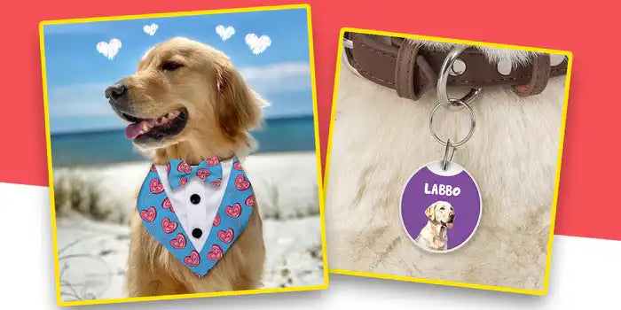 Style Your Pet with  Custom Accessories!