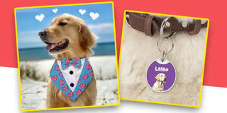 small tiles blog image