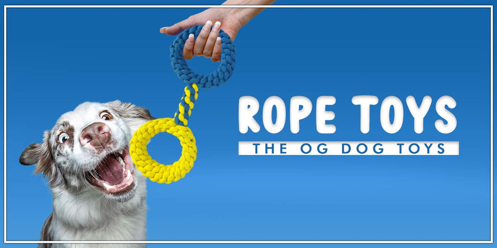 Rope Toys: The OG Dog Toys