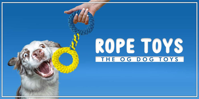 Rope Toys: The OG Dog Toys