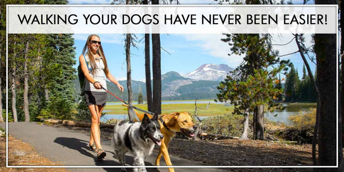 Walking Your Dogs Have Never Been Easier!