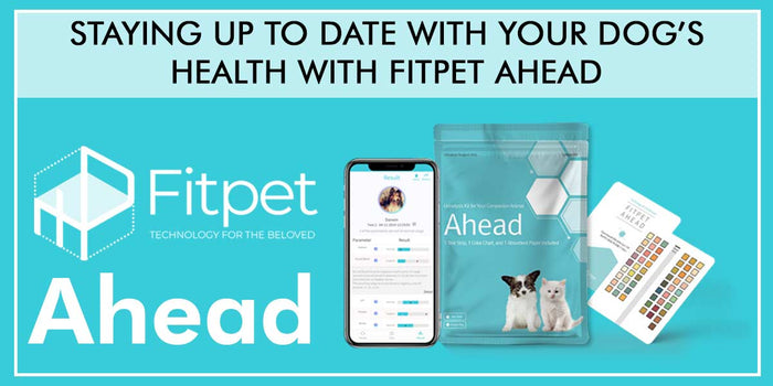 Staying up to date with your dog’s health with Fitpet Ahead