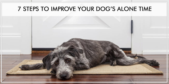 7 STEPS TO IMPROVE YOUR DOG’S ALONE TIME