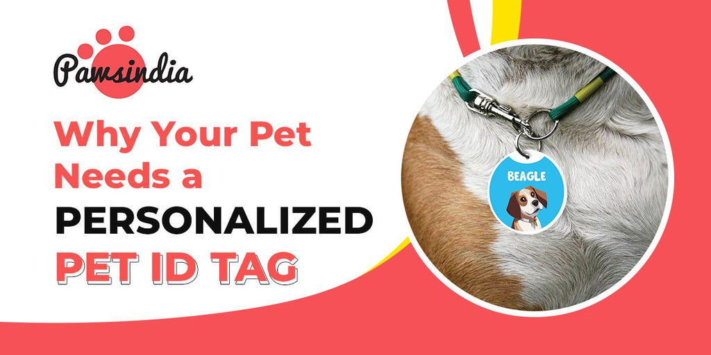 Why Your Pet Needs a Personalized ID Tag